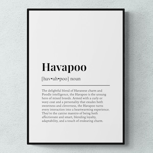 May include: Black and white printable wall art featuring a definition of the word "Havapoo" with the pronunciation [hav.uh.poo] and a description of the dog breed.