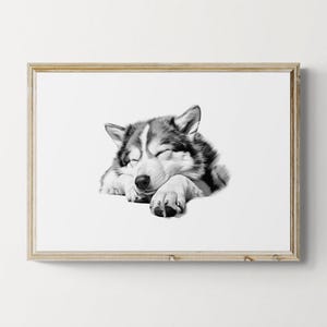 Sleeping Alaskan Malamute Print, Dog Vintage Print, Dog Sketch, Farmhouse Decor, Alaskan Malamute Gifts | Printable Digital Download