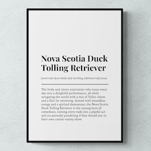 Nova Scotia Duck Tolling Retriever Definição engraçada de cão Impressão de arte de parede | Download digital para impressão