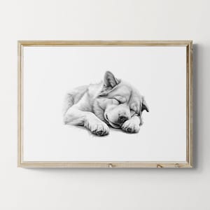 Sleeping Akita Print, Dog Vintage Print, Dog Sketch, Farmhouse Decor, Akita Gifts | Printable Digital Download