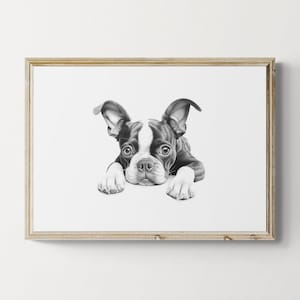 Boston Terrier Print, Cute Dog Vintage Print, Dog Sketch, Farmhouse Decor, Boston Terrier Gifts | Printable Digital Download