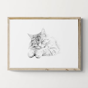 Impression chat Maine coon endormi, impression vintage chat, croquis de chat, décoration de ferme, cadeaux chat | Téléchargement numérique imprimable