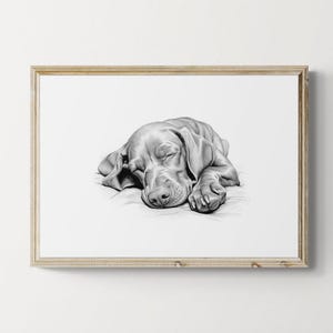 Sleeping Vizsla Print, Dog Vintage Print, Dog Sketch, Farmhouse Decor, Vizsla Gifts | Printable Digital Download
