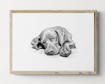 Sleeping Vizsla Print, Dog Sketch, Vizsla Gifts | Printable Digital Download