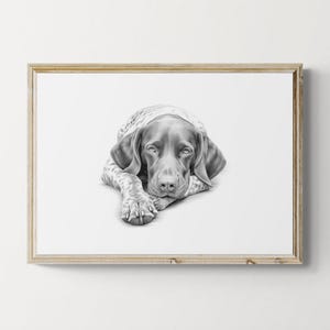 German Shorthaired Pointer Print, Cute Dog Vintage Print, Dog Sketch, Farmhouse Decor, GSP Gifts | Printable Digital Download