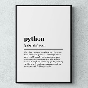 Python Funny Definition Snake Gift Wall Art Print / Download digitale stampabile