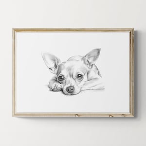 Süßer Chihuahua-Druck, süßer Hund Vintage-Druck, Hundeskizze, Bauernhausdekor, Chihuahua-Geschenke | Druckbare digitale Datei