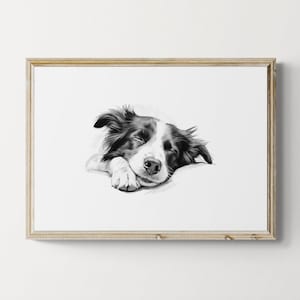 Sleeping Border Collie Print, Dog Vintage Print, Dog Sketch, Farmhouse Decor, Border Collie Gifts | Printable Digital Download