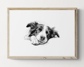 Schlafender Border Collie Print, Hund Skizze, Border Collie Geschenke | Druckbare digitale Datei