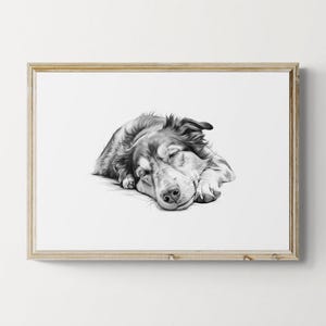 Sleeping Australian Shepherd Print, Dog Vintage Print, Dog Sketch, Farmhouse Decor, Australian Shepherd Gifts | Printable Digital Download