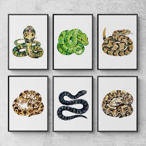 May include: A set of six framed wall art prints featuring watercolour illustrations of various snakes. The collection includes a green cobra, a coiled green snake, a brown patterned rattlesnake, a spotted python, a black snake, and a viper.