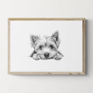 Impression Yorkshire Terrier, impression vintage chien mignon, croquis de chien, décoration de ferme, cadeaux Yorkie | Téléchargement numérique imprimable