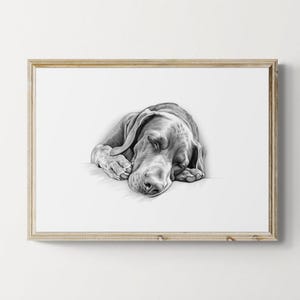 Sleeping German Shorthaired Pointer Print, Dog Vintage Print, Dog Sketch, Farmhouse Decor, Gsp Gifts