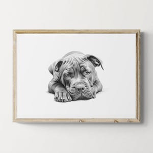 Cane Corso Print, Cute Dog Vintage Print, Dog Sketch, Farmhouse Decor, Cane Corso Gifts | Printable Digital Download