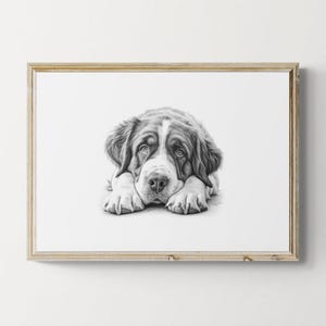 St Bernard Print, Cute Dog Vintage Print, Dog Sketch, Farmhouse Decor, St Bernard Gifts | Printable Digital Download