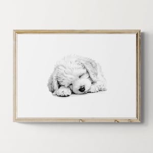 Sleeping Bichon Frise Print, Dog Vintage Print, Dog Sketch, Farmhouse Decor, Bichon Frise Gifts | Printable Digital Download