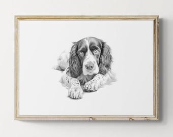 Springer Spaniel Print, Cute Dog Sketch, Springer Spaniel Gifts