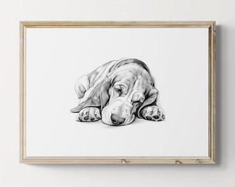 Sleeping Basset Hound Print, Dog Sketch, Basset Hound Gifts