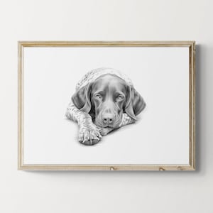 German Shorthaired Pointer Print, Cute Dog Vintage Print, Dog Sketch, Farmhouse Decor, GSP Gifts