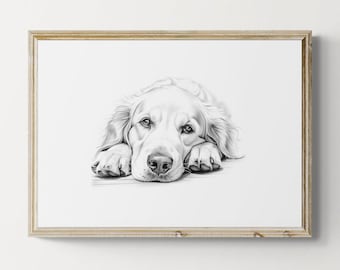 Golden Retriever Print, Cute Dog Sketch, Golden Retriever Gifts | Printable Digital Download