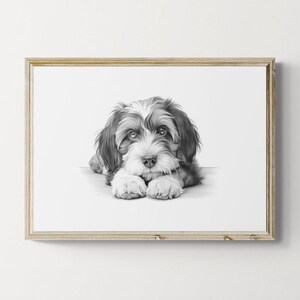 Tibetan Terrier Print, Cute Dog Vintage Print, Dog Sketch, Farmhouse Decor, Tibetan Terrier Gifts | Printable Digital Download