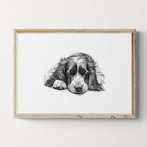 Sleeping Springer Spaniel Print, Dog Vintage Print, Dog Sketch, Farmhouse Decor, Springer Spaniel Gifts | Printable Digital Download
