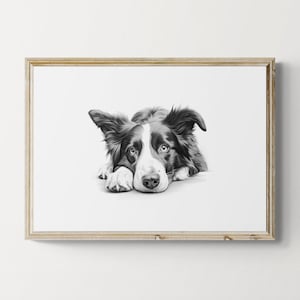Border Collie Print, Cute Dog Vintage Print, Dog Sketch, Farmhouse Decor, Border Collie Gifts | Printable Digital Download