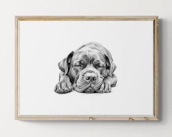 Sleeping Cane Corso Print, Dog Sketch, Cane Corso Gifts | Printable Digital Download