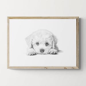 Bichon Frise Print, Cute Dog Vintage Print, Dog Sketch, Farmhouse Decor, Bichon Frise Gifts | Printable Digital Download