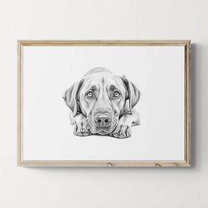 Rhodesian Ridgeback Print, Cute Dog Vintage Print, Dog Sketch, Farmhouse Decor, Rhodesian Ridgeback Gifts | Printable Digital Download