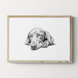 Slapende weimaraner print, vintage hond print, hondschets, boerderijdecor, weimarse staande hond cadeaus | Afdrukbare digitale download