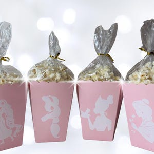 Princess Popcorn Box 12 Princess Popcorn Boxes Mini Popcorn Box Princess Theme Party Favors Popcorn Princess Favor Boxes Disney Popcorn Box