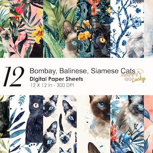 Bombay, modèle numérique sans couture de chats balinais, siamois, papier numérique de chats mignons fond animal aquarelle papier de scrapbooking imprimable pour animaux de compagnie