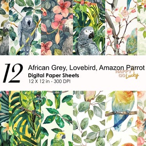 Afrikaans grijs, dwergpapegaaien, Amazon Parrot naadloos digitaal patroon, exotische vogels digitaal papier, dierlijke achtergrond, huisdier afdrukbaar scrapbookpapier
