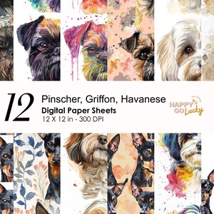 Grifone, Havanese, Mini Pinscher Dogs Seamless Pattern digitale, Carta digitale carina per cani di piccola taglia, Sfondo per animali domestici, Carta per album stampabile