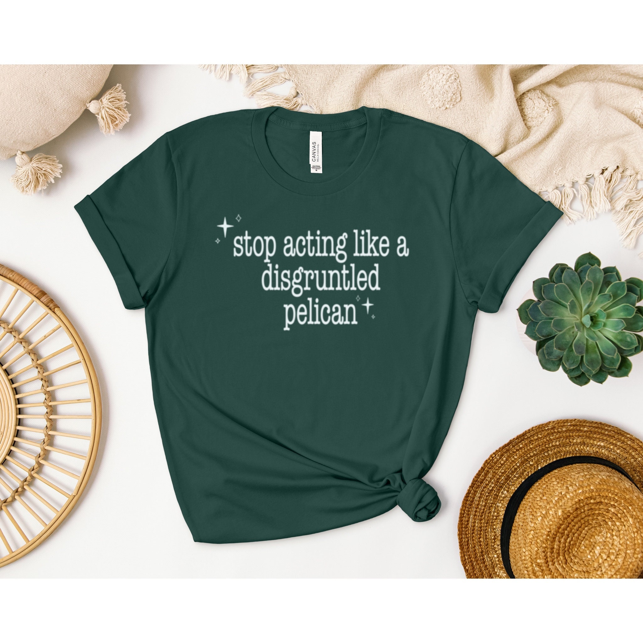 Disgruntled Pelican Tshirt, Schitts Creek Tshirt, Funny Tshirt, Show