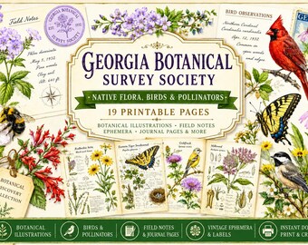 Sociedad de Estudios Botánicos de Georgia / Flora nativa, aves y polinizadores / Páginas para diario botánico / Kit imprimible para diario creativo / PDF de 19 páginas