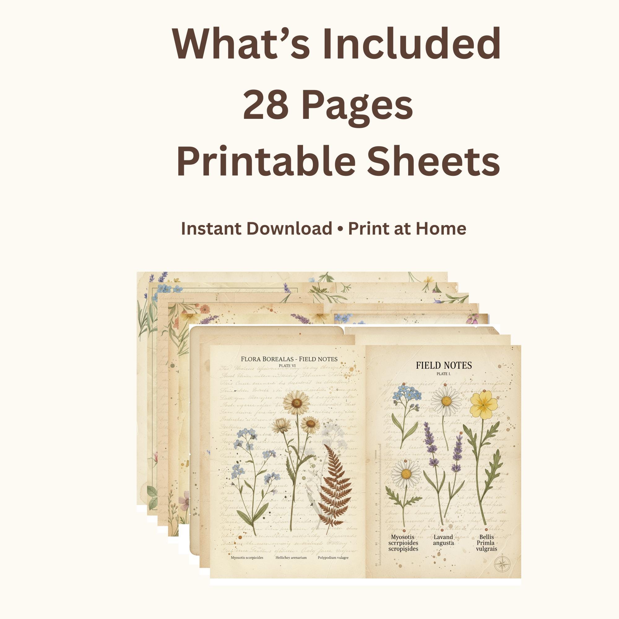 Botanical Field Notes – Flora & Fauna Journal Kit | Vintage Nature ...