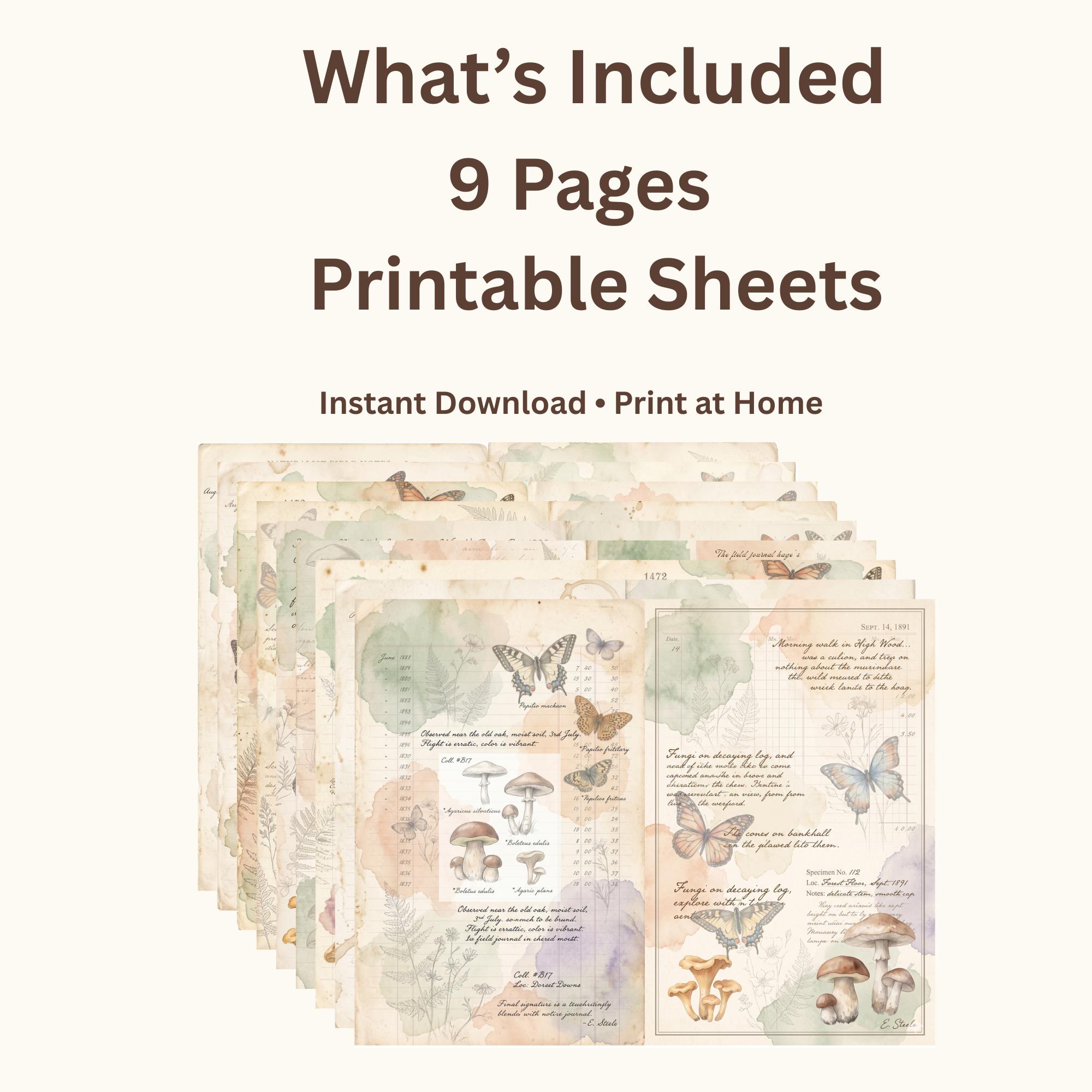 Botanical Field Notes – Whispered Observations | Vintage Botanical ...