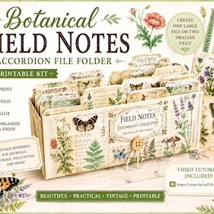May include: A Botanical Field Notes accordion file folder printable kit featuring vintage-style illustrations of butterflies, ferns, and flowers. The kit includes text labels, a button closure, and instructions for printing, folding, and gluing.