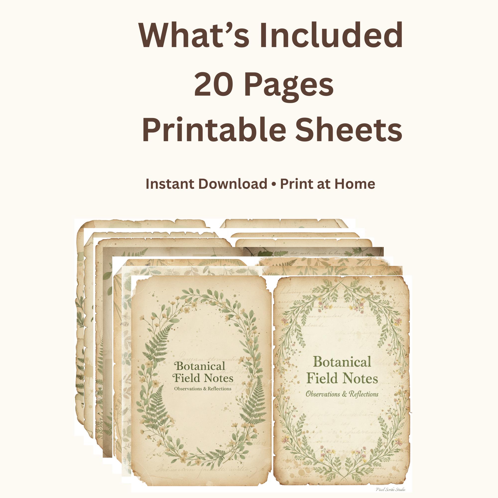 Botanical Field Notes – Complete Collection (20 Pages) | Vintage ...
