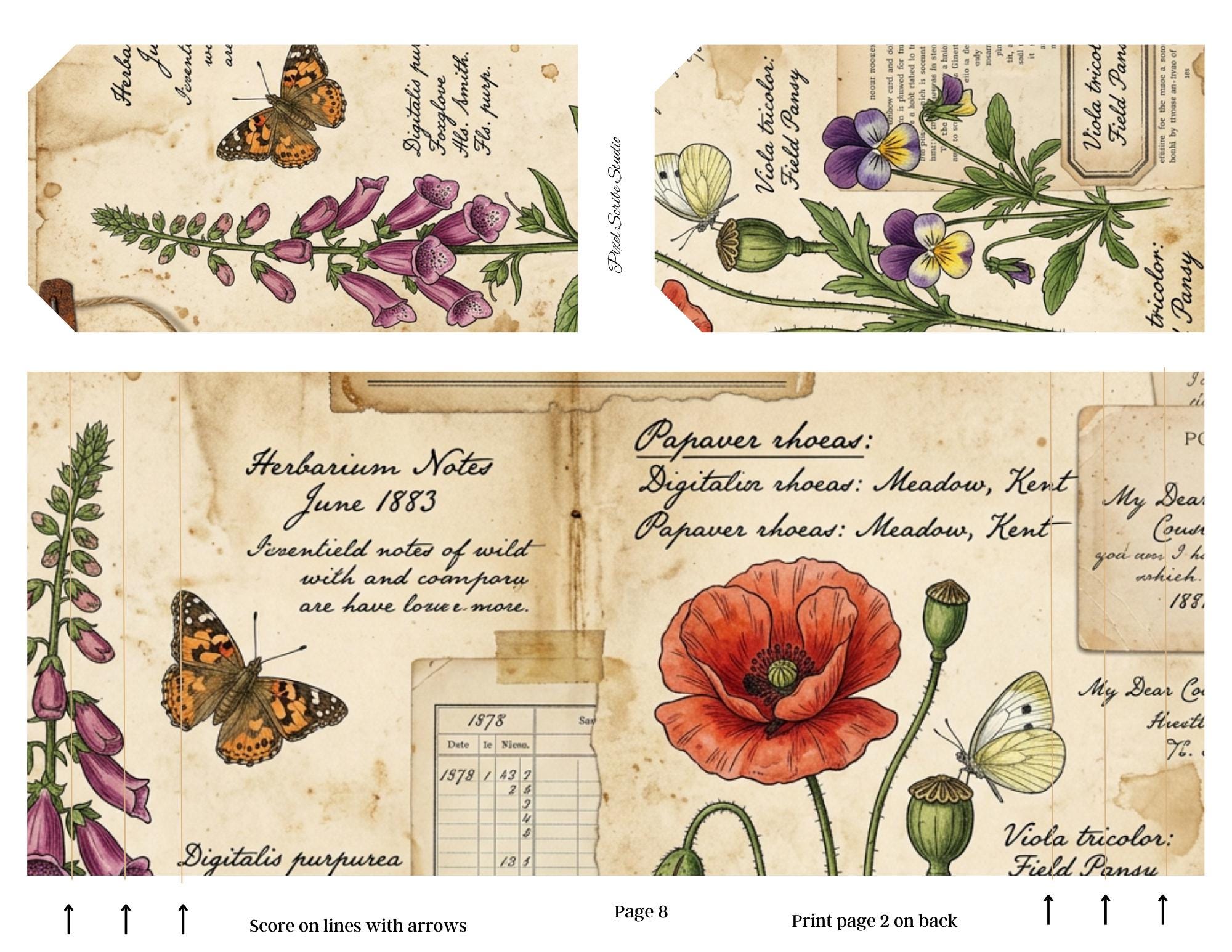 Botanical Field Notes Accordion File Folder Printable | Vintage Nature ...