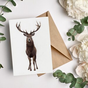 Hirsch 5er Postkartenset