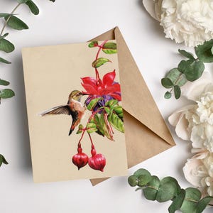 Kolibri 5er Postkartenset