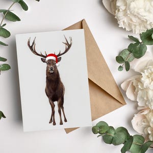 Weihnachtsmotiv Hirsch 5er Postkartenset