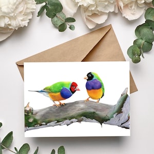 Ensemble de cartes postales 5 pièces représentant un couple de diamants de Gould