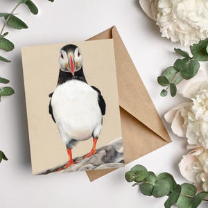Penguin 5-piece postcard set