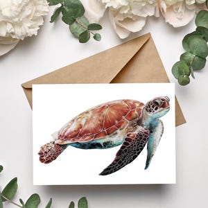 Coffret de cartes postales 5 pièces Tortue
