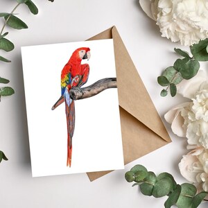 Ara Papagei 5er Postkartenset