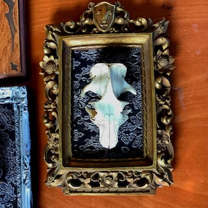 Skulls on Plagues // Gothic decor